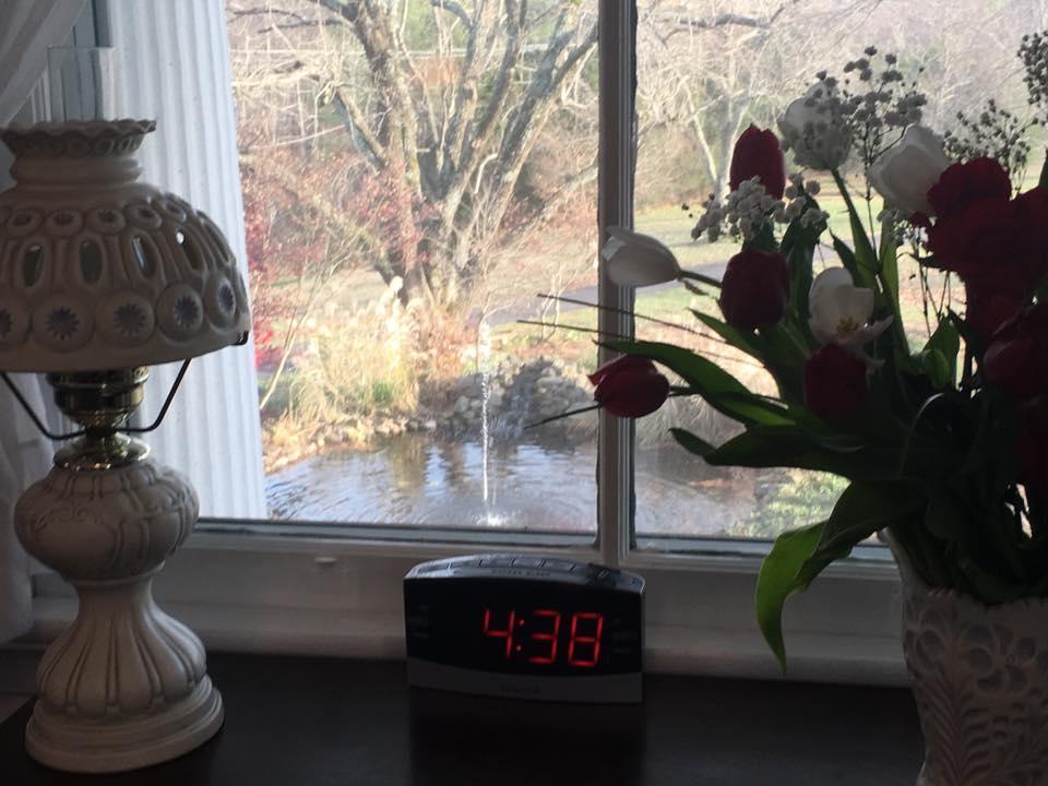 Winridge Manor Bed And Breakfast Madison Heights 外观 照片